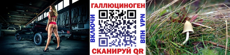 Псилоцибиновые грибы Magic Shrooms  Новое Девяткино 
